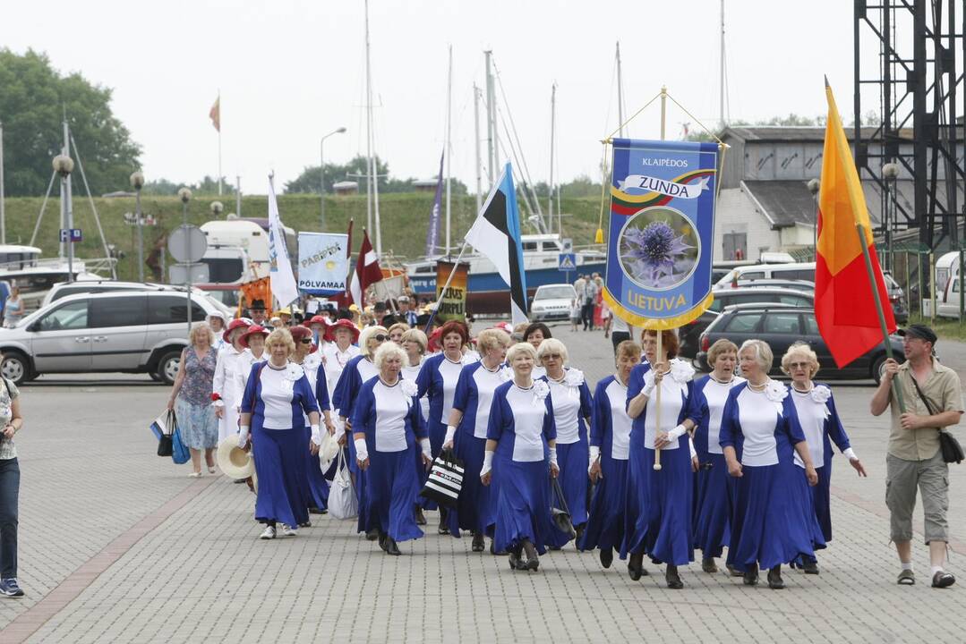 Europos šokių pynė ir vėliavos pakėlimas