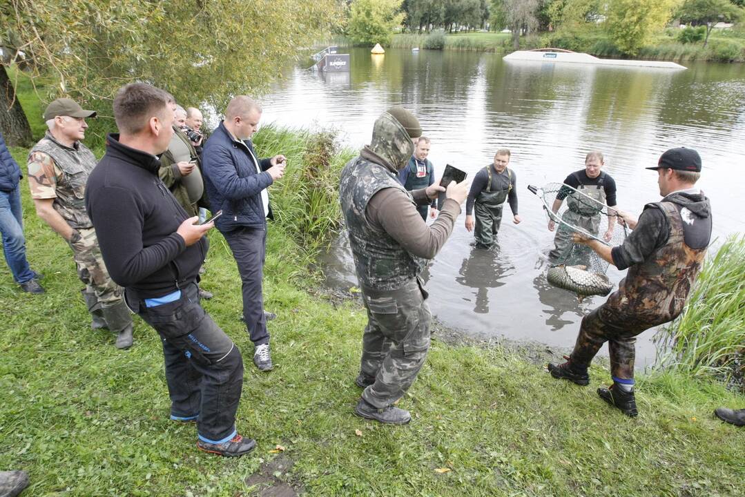 Trinyčiuose apgyvendintas žmogaus dydžio šamas