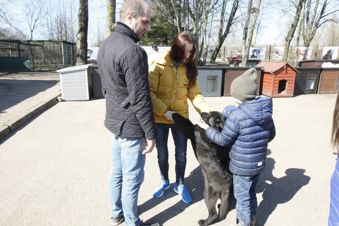 „Linksmosios pėdutės” švenčia gimtadienį 