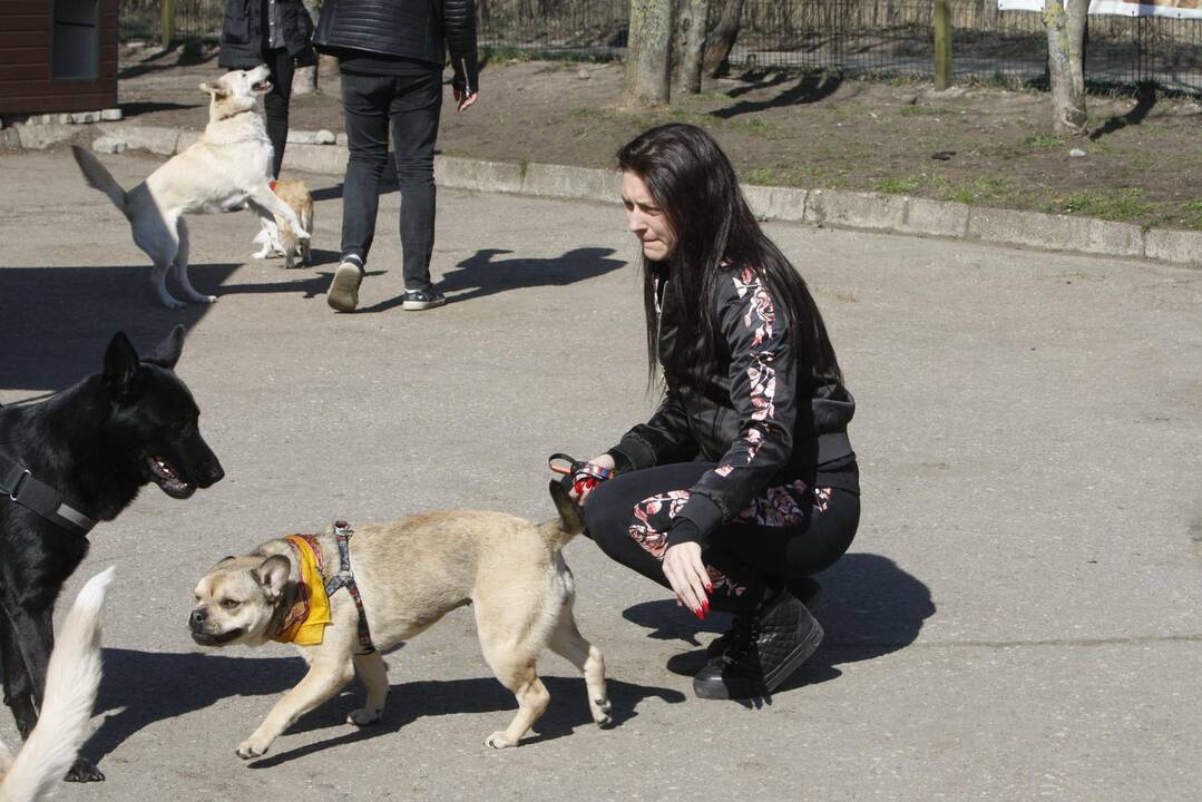 „Linksmosios pėdutės” švenčia gimtadienį 