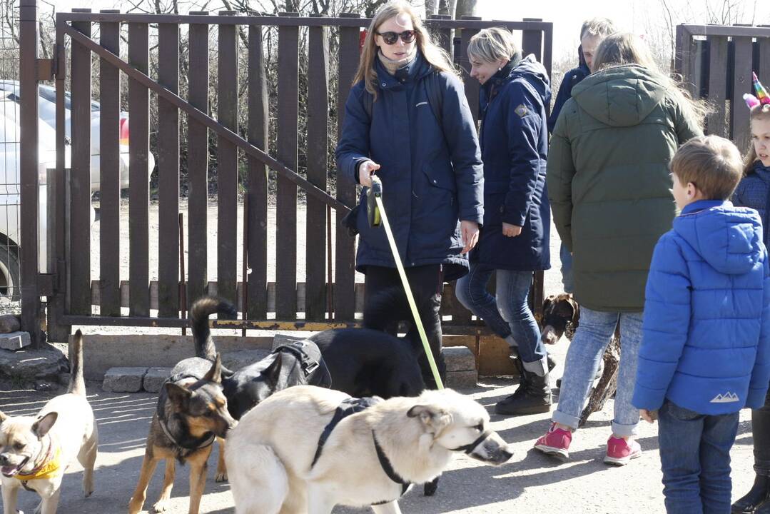 „Linksmosios pėdutės” švenčia gimtadienį 