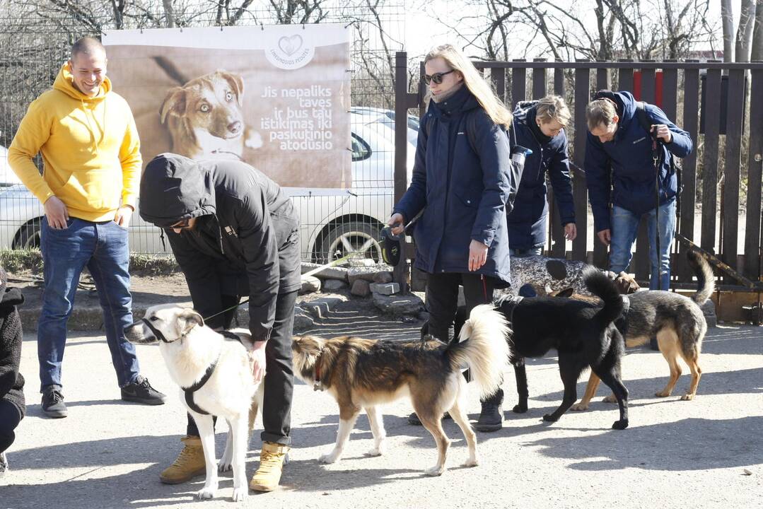 „Linksmosios pėdutės” švenčia gimtadienį 