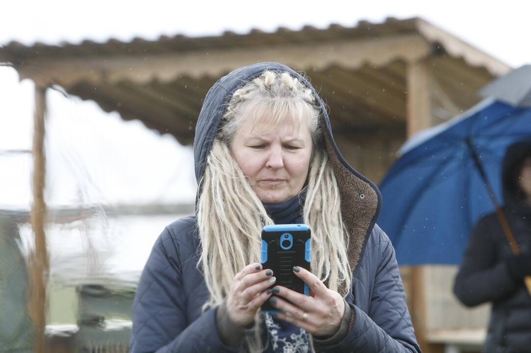 Žiobrinių šventė Nidoje