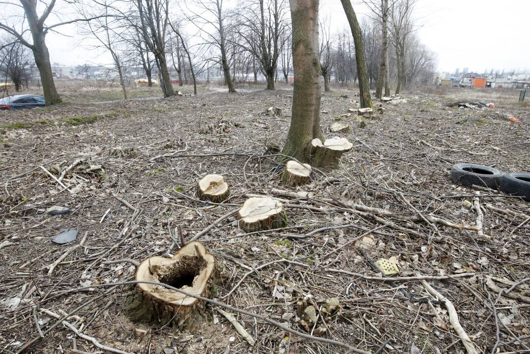 Tarnybos nerado gamtos teršėjų