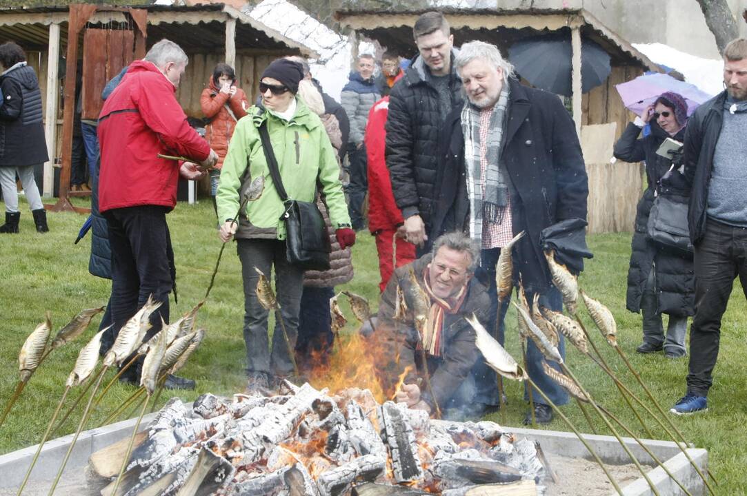 Žiobrinių šventė Nidoje
