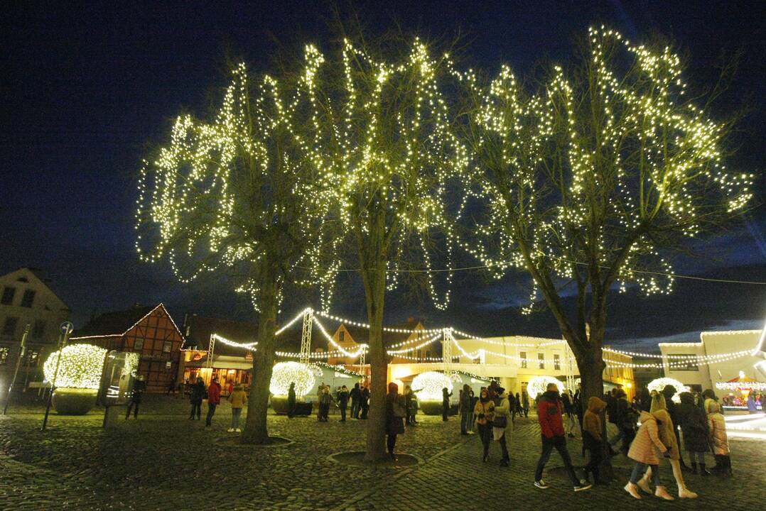 Klaipėdoje sužibo tradiciškai gyva eglė (2020)