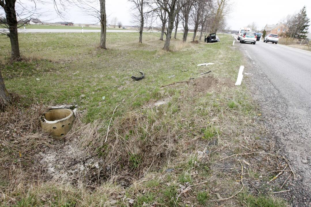 Pakeliui iš Klaipėdos į Palangą automobilis rėžėsi į medį