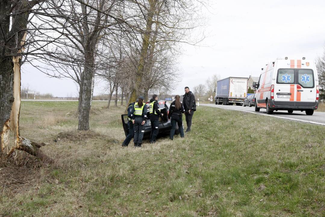 Pakeliui iš Klaipėdos į Palangą automobilis rėžėsi į medį