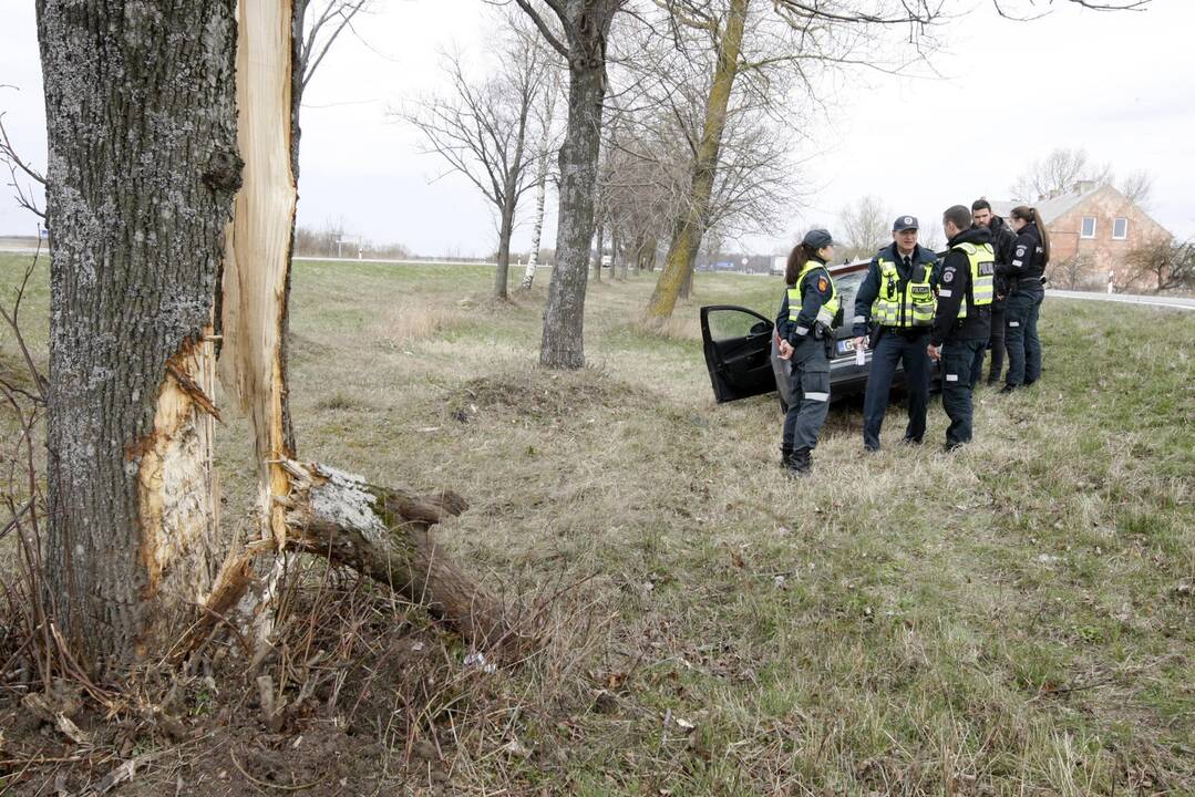 Pakeliui iš Klaipėdos į Palangą automobilis rėžėsi į medį