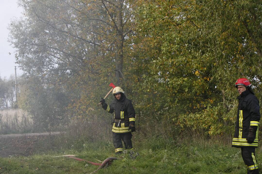 Klaipėdos rajone liepsnoja šieno prikrautas angaras