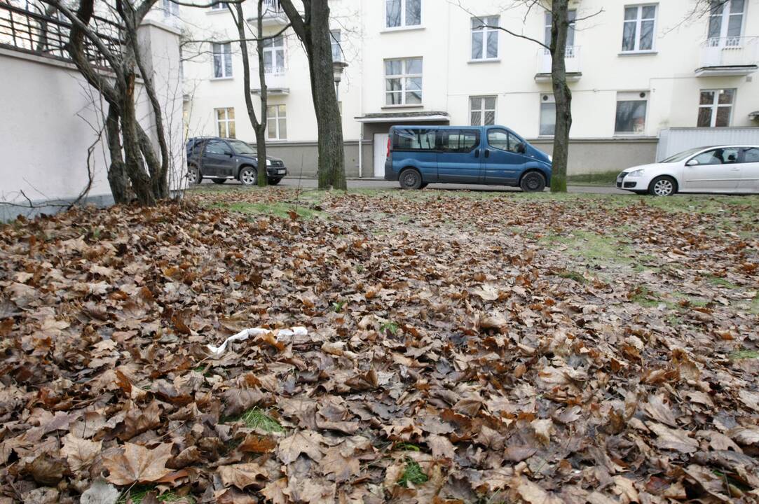 Iš bankrutavusios laivininkystės teliko lapų krūva