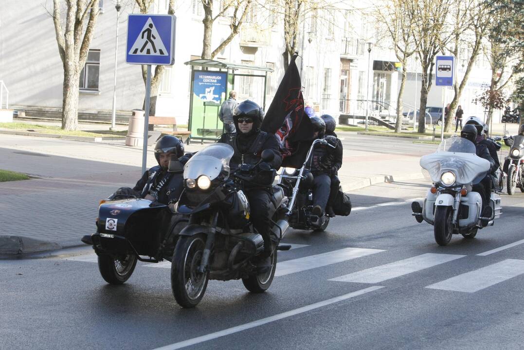 Gargždus sudrebino plieniniai žirgai