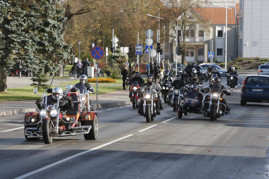 Gargždus sudrebino plieniniai žirgai