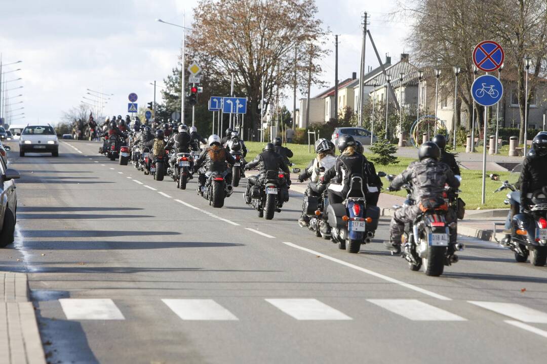 Gargždus sudrebino plieniniai žirgai