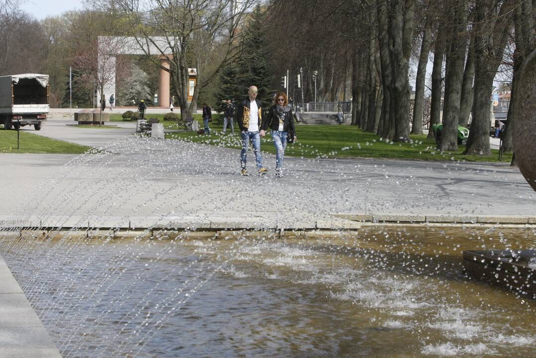 Uostamiestyje pradėjo šniokšti fontanai