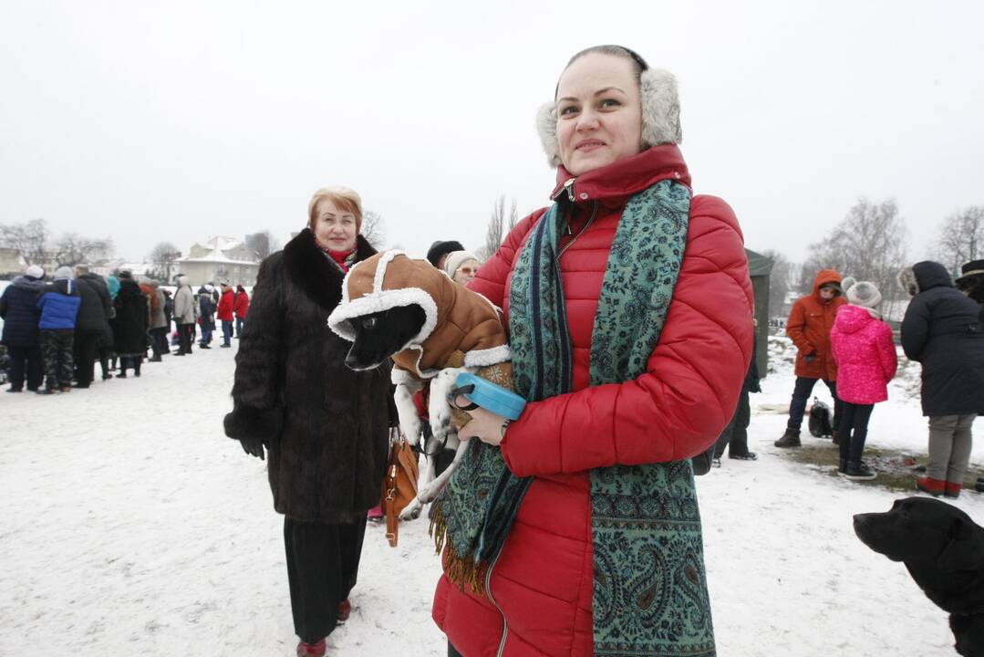 Klaipėdiečiai nenusižengė tradicijoms: per Užgavėnes išdykavo ir sudegino Morę