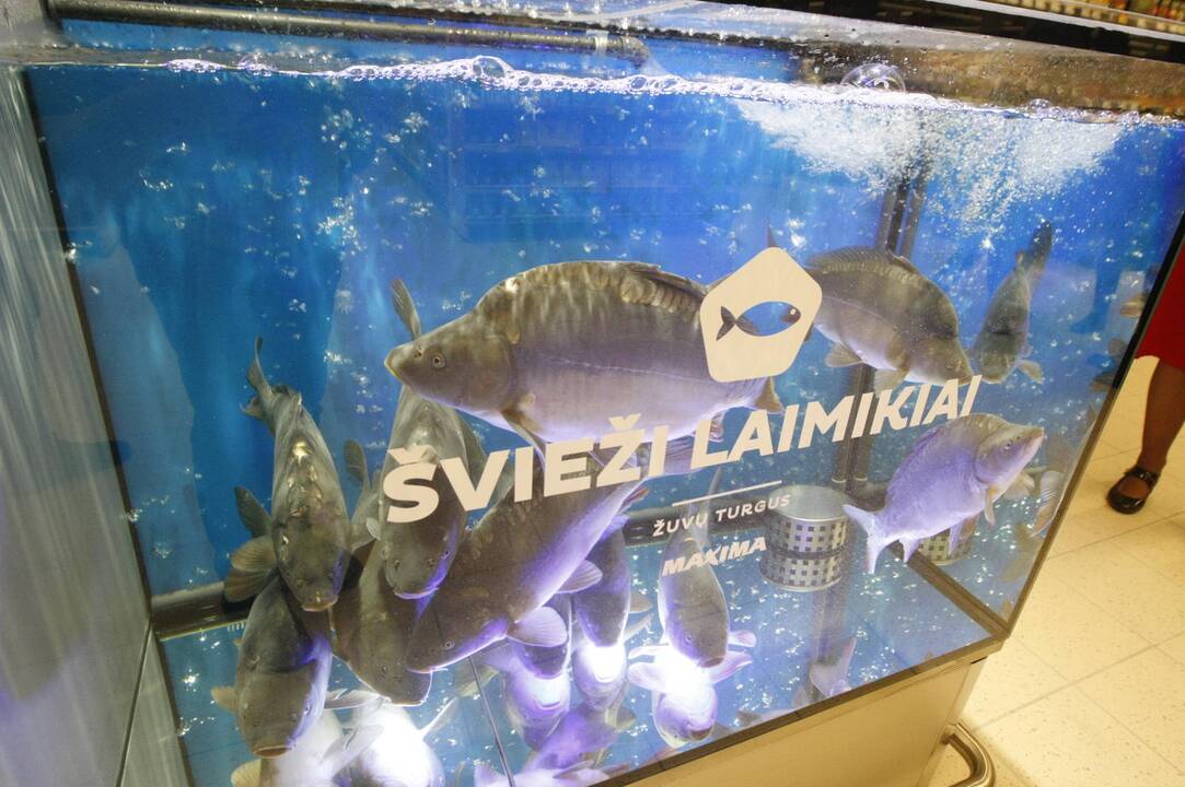 Klaipėdiečių laukta „Maxima“ stebino asortimento gausa