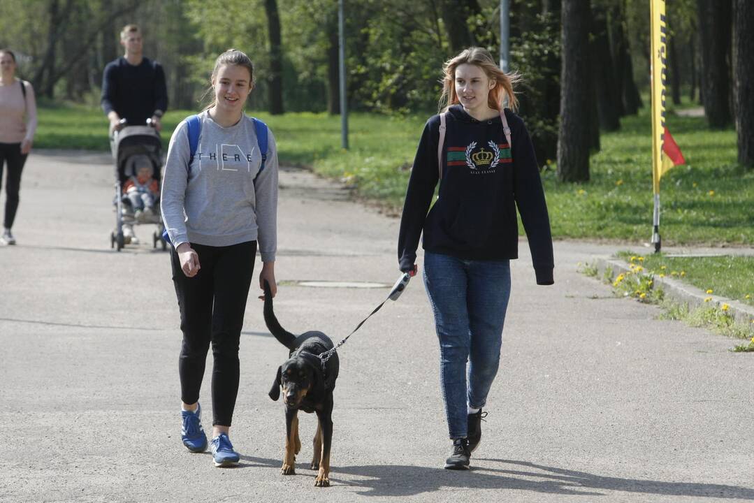 Šuniukų bėgimas