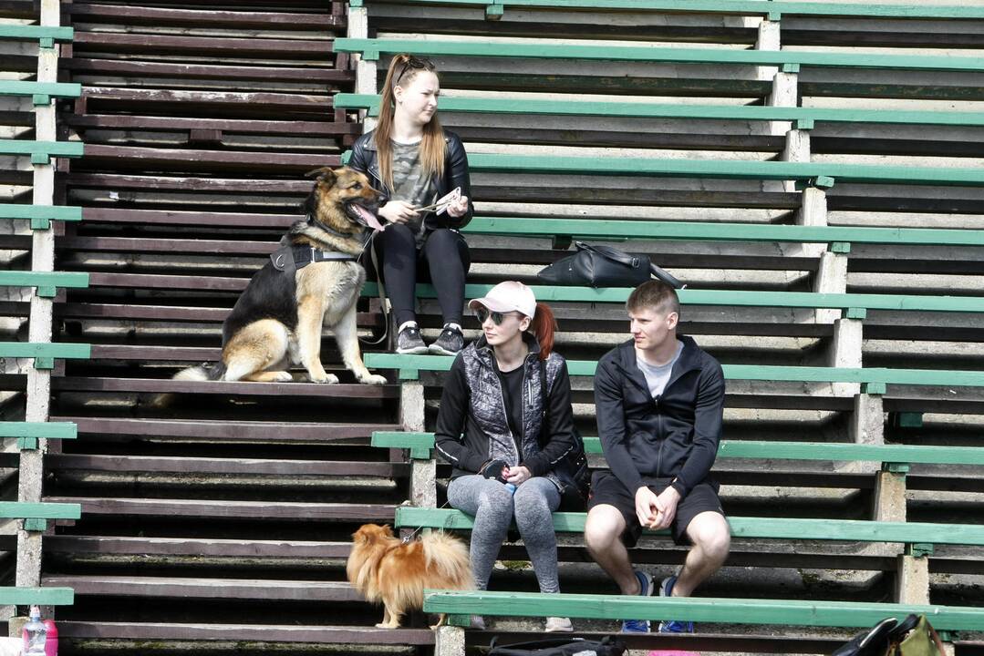 Šuniukų bėgimas