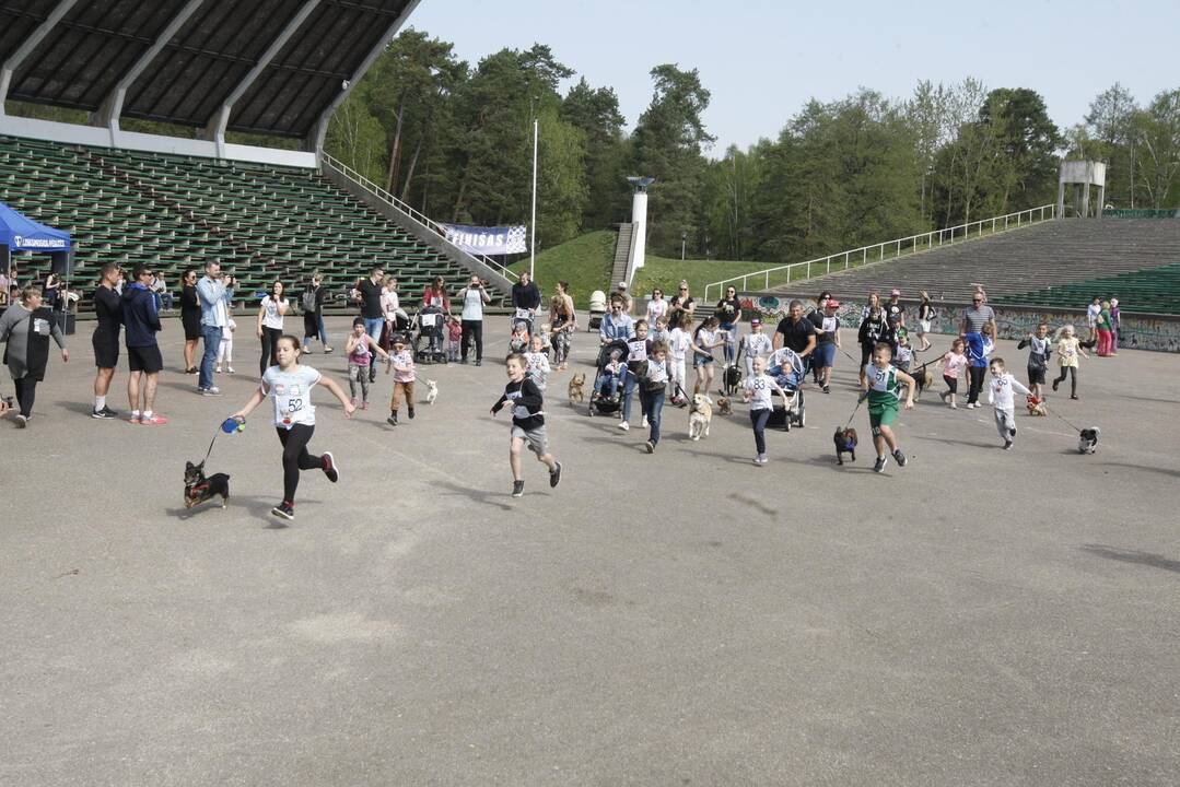 Šuniukų bėgimas