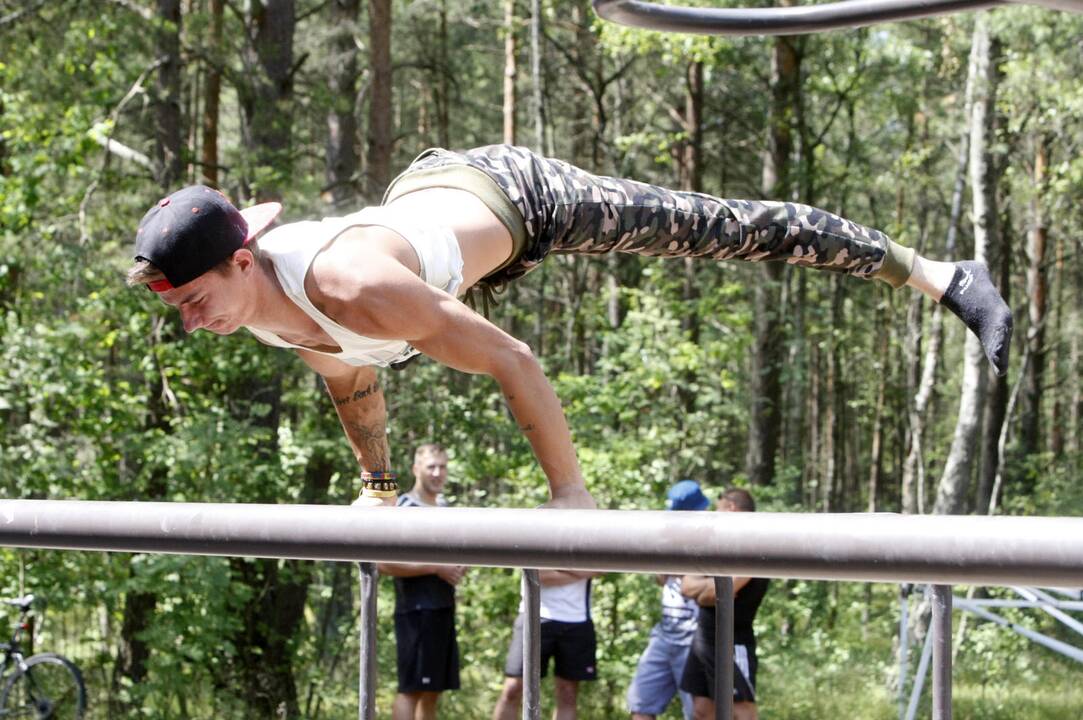Gatvės gimnastikos varžybos