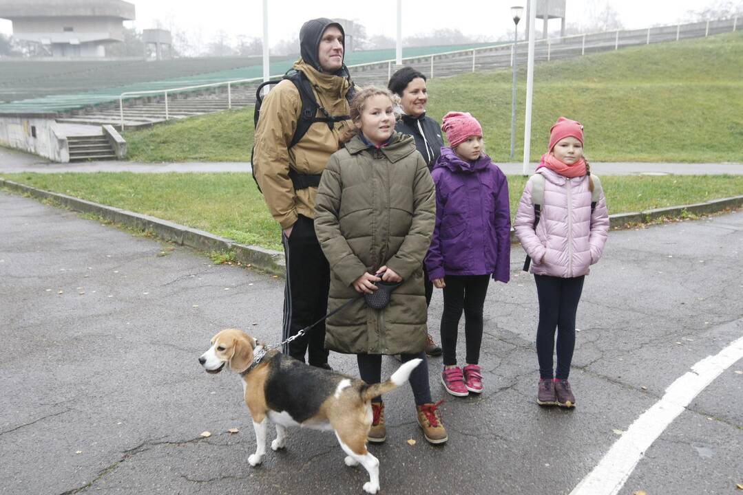 Pėsčiųjų žygiai Klaipėdoje