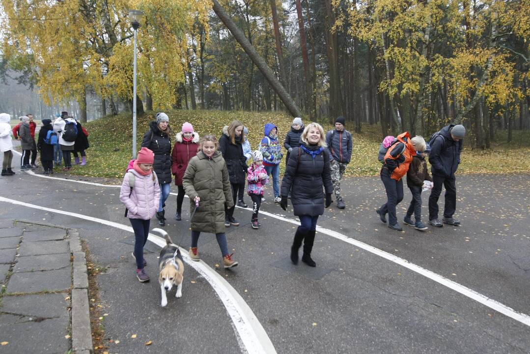 Pėsčiųjų žygiai Klaipėdoje