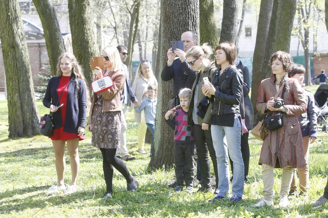 Festivalis sukvietė uostamiesčio šeimas 