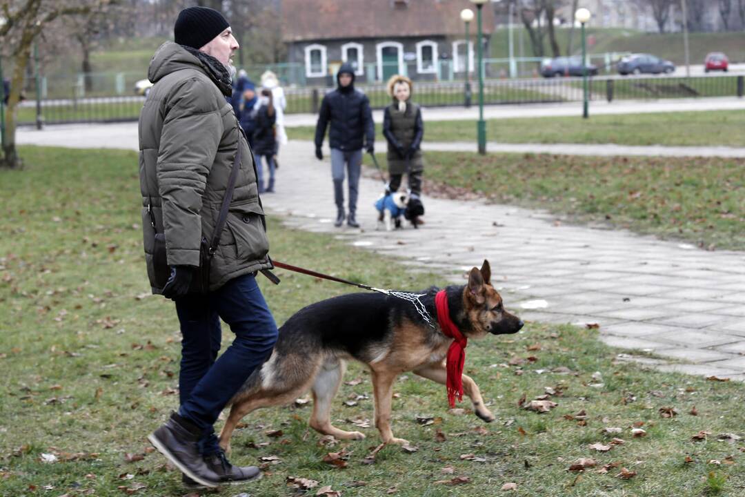 Keturkojų Kalėdos 2017