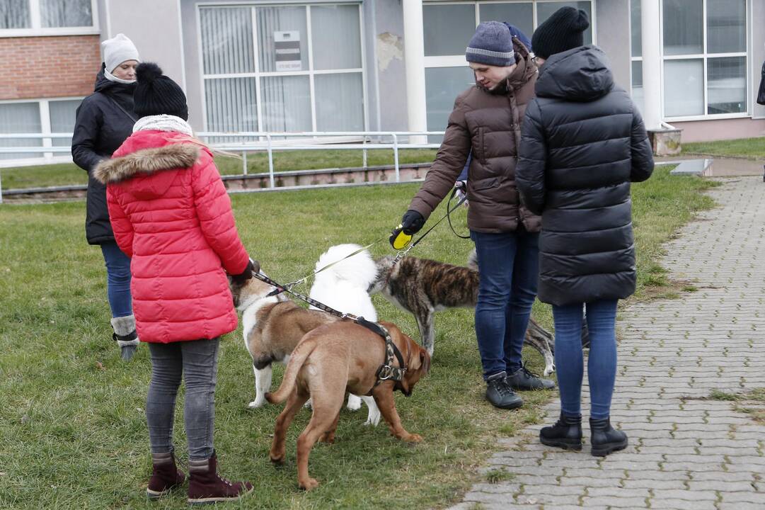 Keturkojų Kalėdos 2017