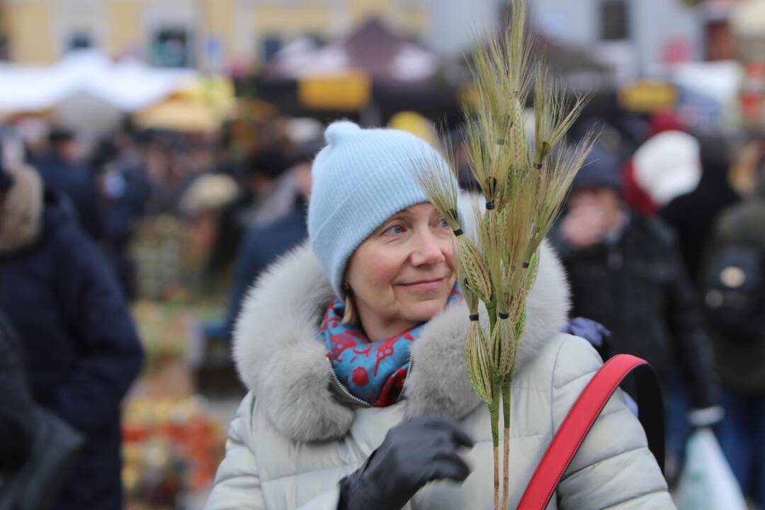 Kaziuko mugė Klaipėdoje 2019