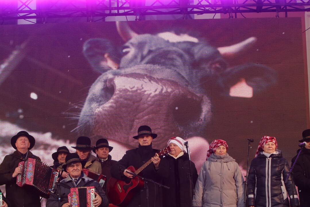 Kaziuko mugė Klaipėdoje 2019