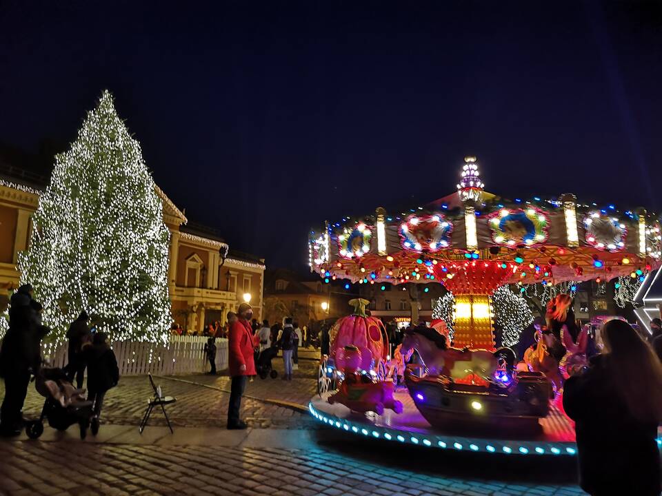 Klaipėdoje sužibo tradiciškai gyva eglė (2020)