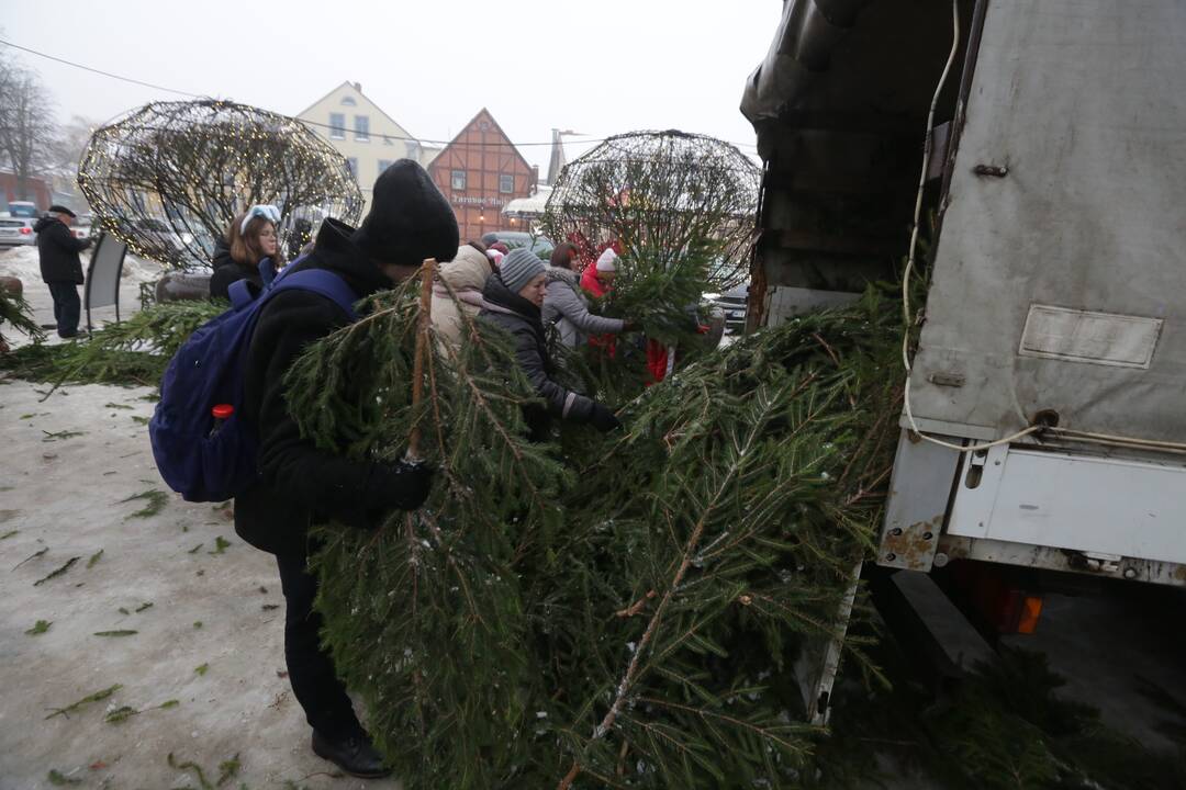 Šakų dalinimo akcija Klaipėdoje