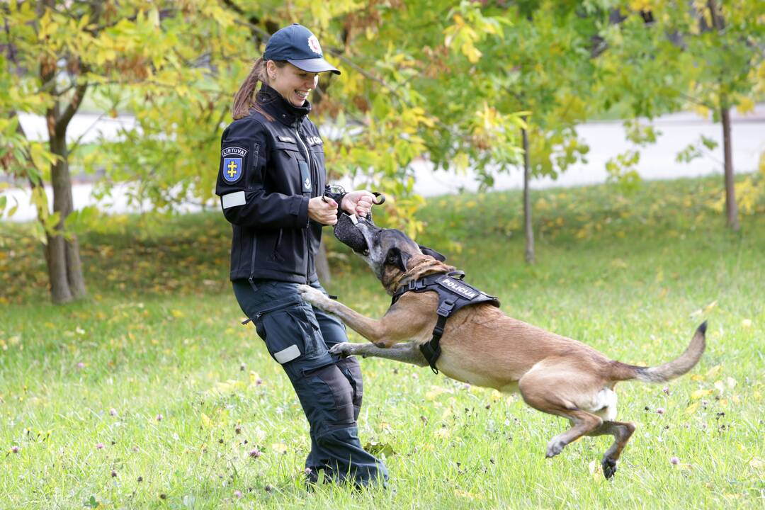 Tarnyba su šunimi – ir alinanti, ir ypatinga