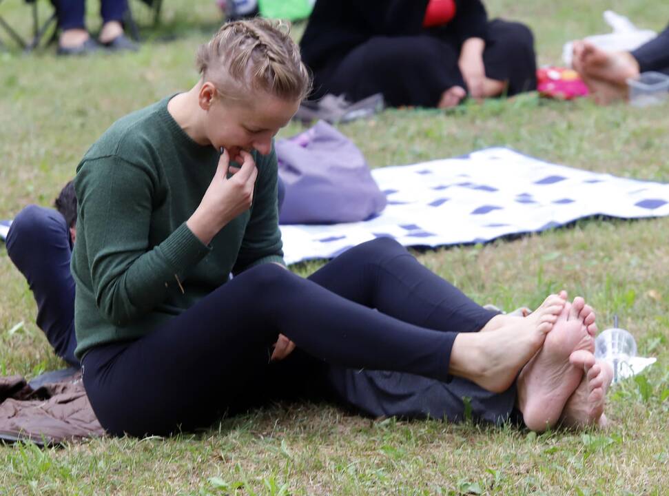 Festivalis „Akacijų alėja 2019“