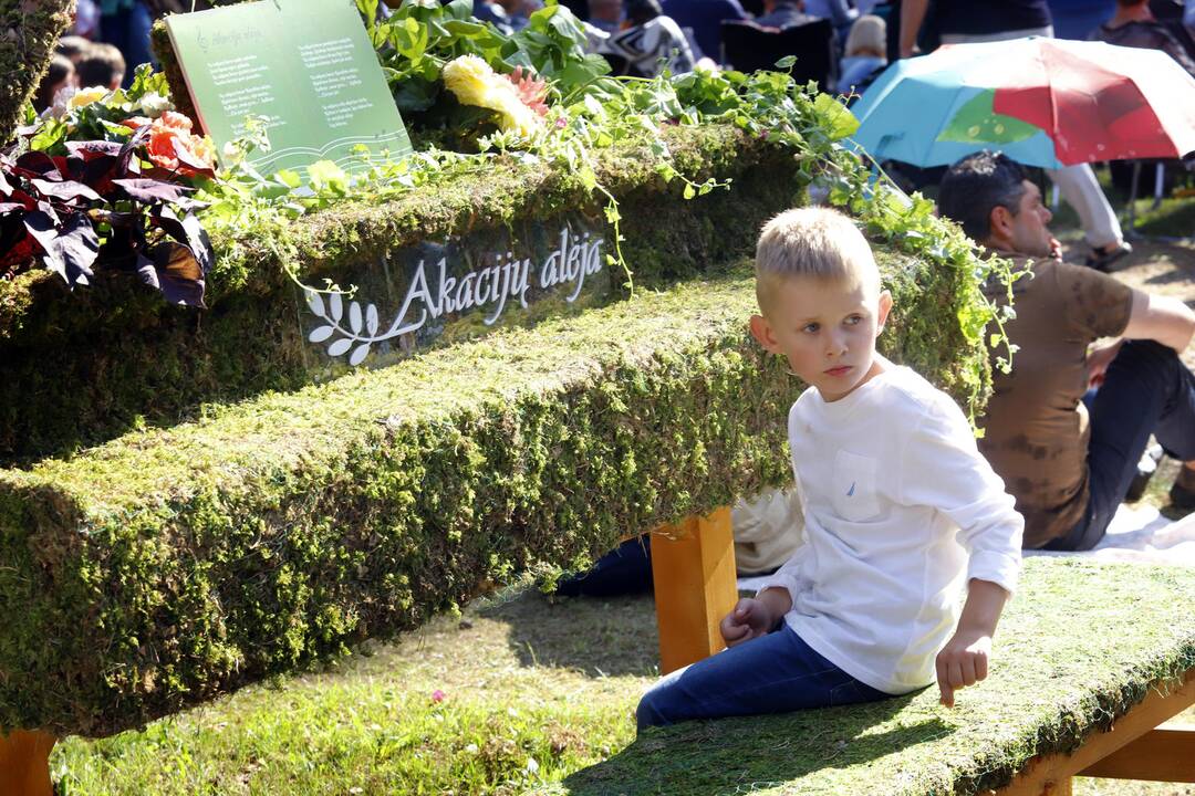 Festivalis „Akacijų alėja 2019“