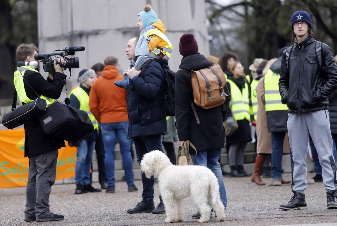 S. Dariaus ir S. Girėno stadioną stačiusių turkų protesto akcija