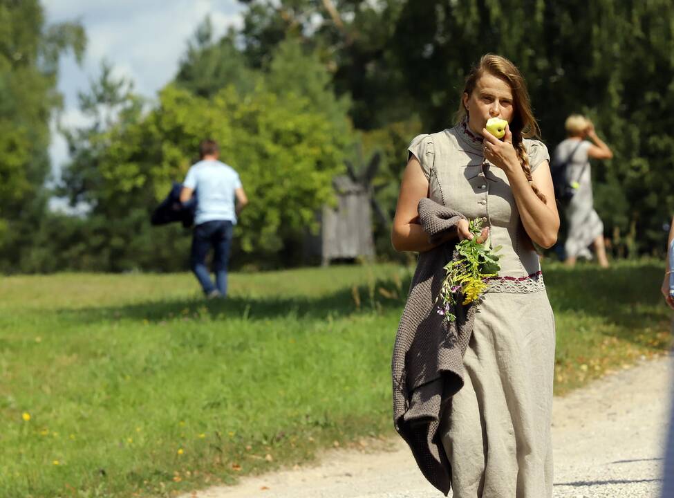 Žolinės Rumšiškėse.