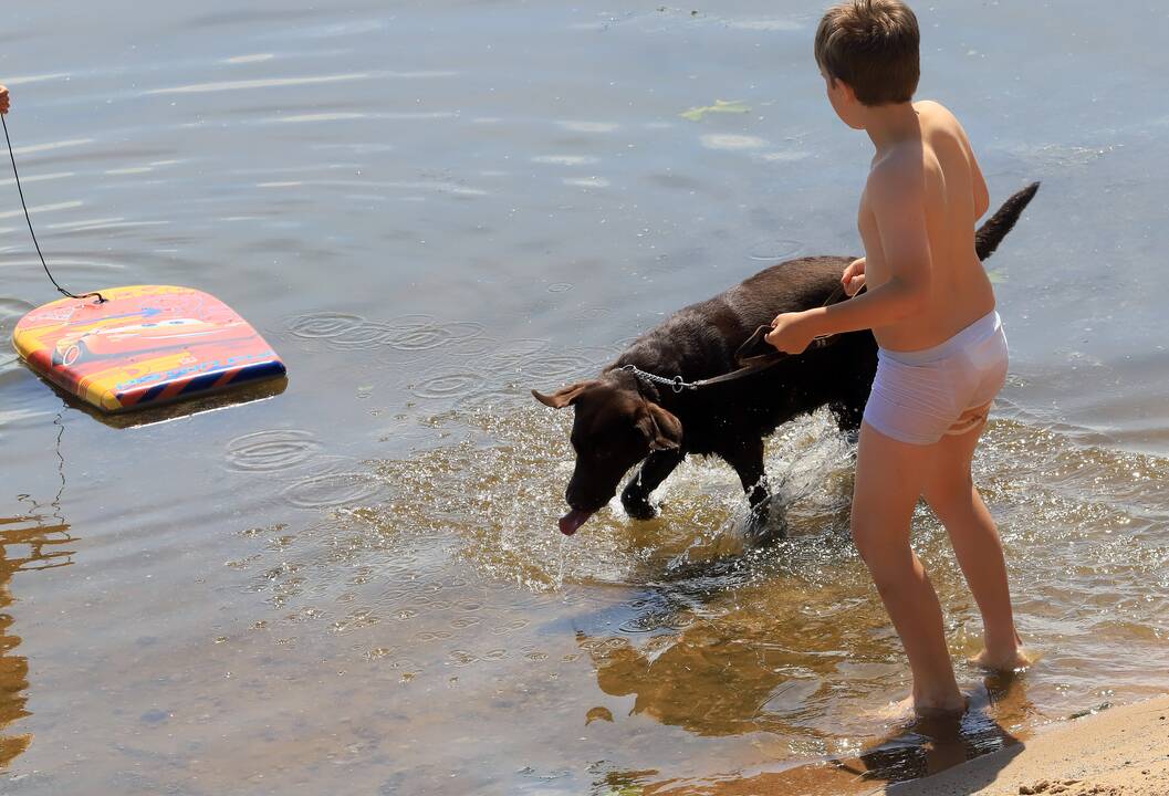 Kauniečiai gelbėjasi nuo karščio