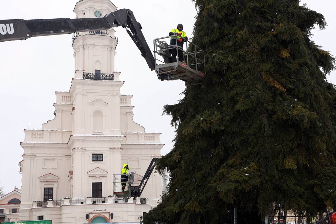 Kaune nupuošta eglutė