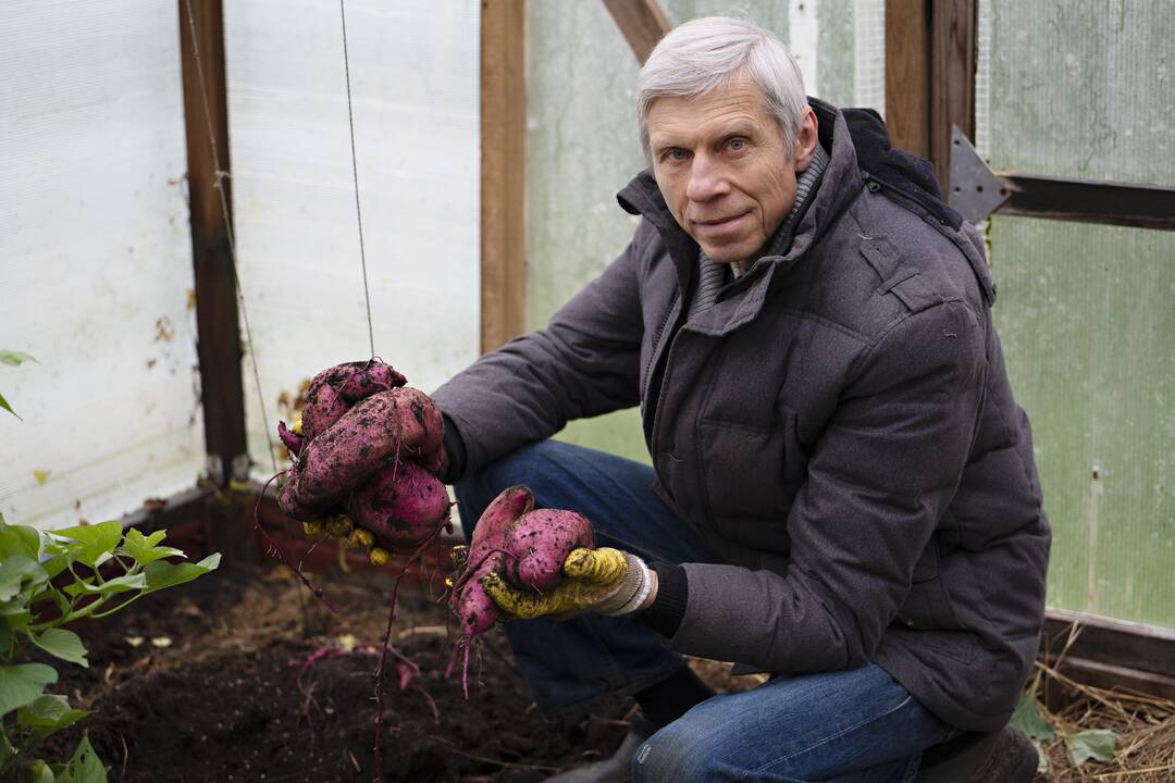 Išeitis: pandemijos sugrąžinta namo I.Trečiokienė atrado naują užsiėmimą – gamina veganiškus desertus.