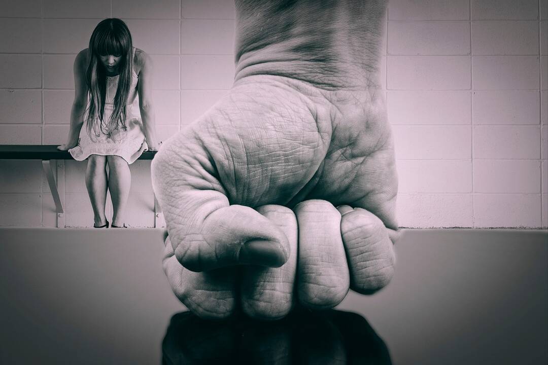 Lenkija praneša apie vienuolikoje valstybių veikusio pedofilų tinklo likvidavimą