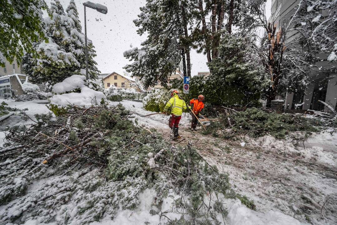 Reta pavasarinė pūga Alpėse sukėlė chaosą, žuvo trys žmonės