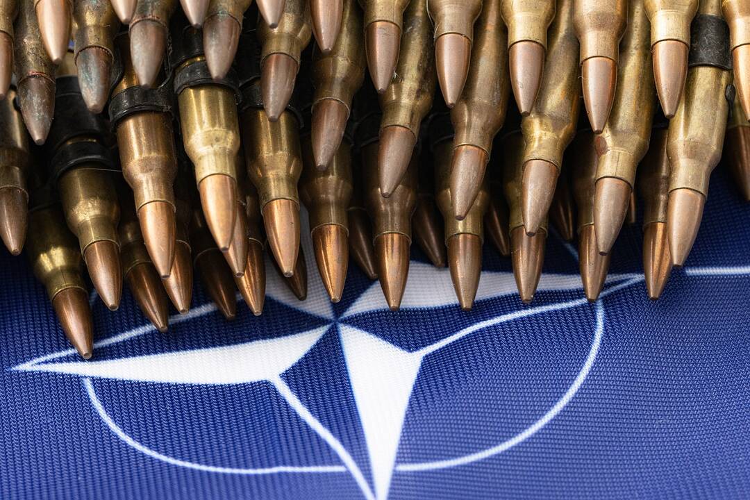 Ataskaita: Europos šalys skiria daugiau lėšų gynybai, bet yra kur pasistiebti