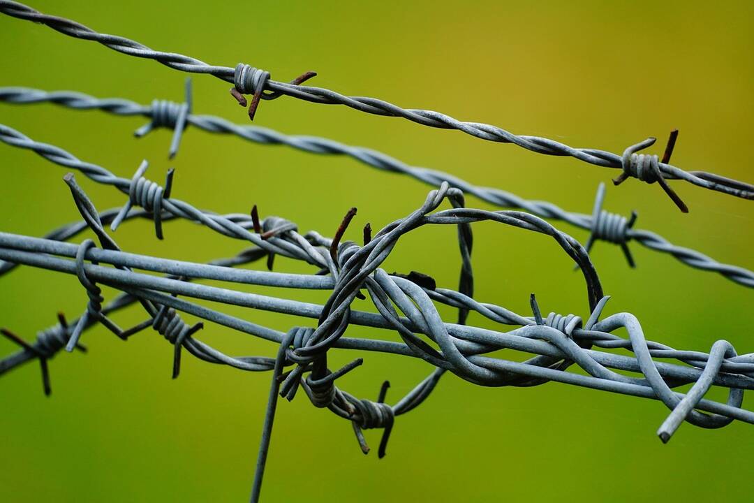 Ukrainai 50 eurų paaukojusiam rusui skirta 13 metų laisvės atėmimo bausmė