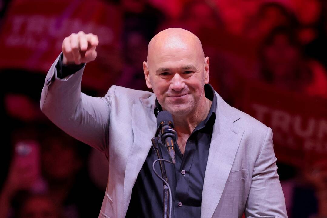 Dana White'as