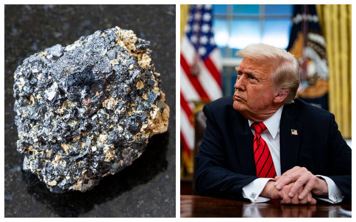 Kokių retųjų išteklių Ukraina gali pasiūlyti Trumpui?