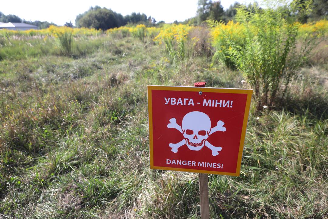 Estų vyriausybė pritarė pasitraukimui iš Otavos konvencijos