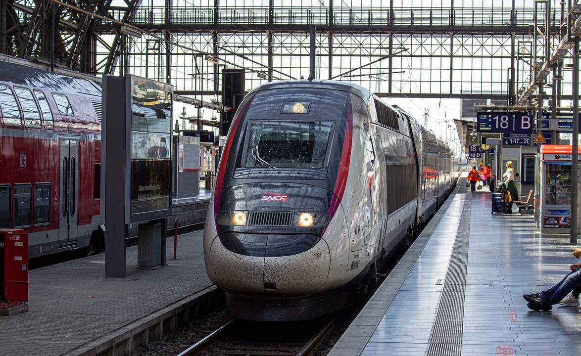 Katė ant bėgių? Išgelbėti per 20 minučių!